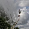 Maibaum aufspritzen