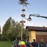 30er Maibaum